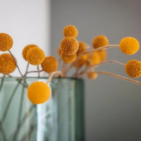 Hirschentenne 3* Stams